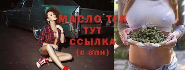 индика Верея