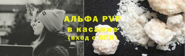 индика Верея