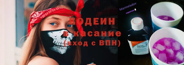 индика Верея