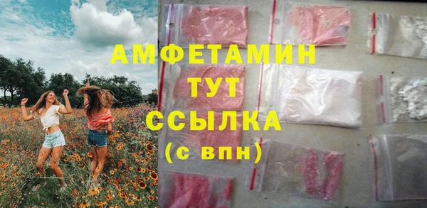 индика Верея