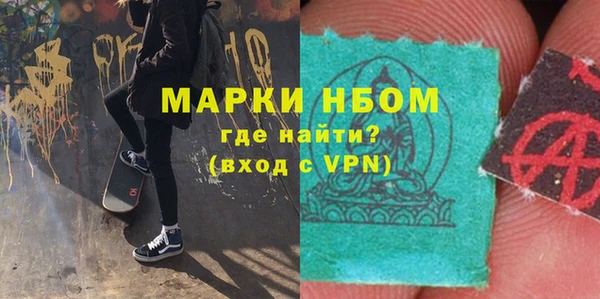 индика Верея