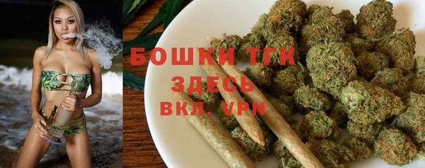 индика Верея