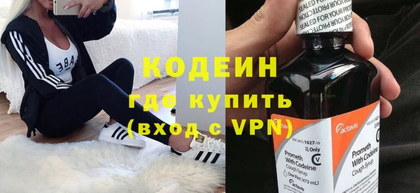 индика Верея