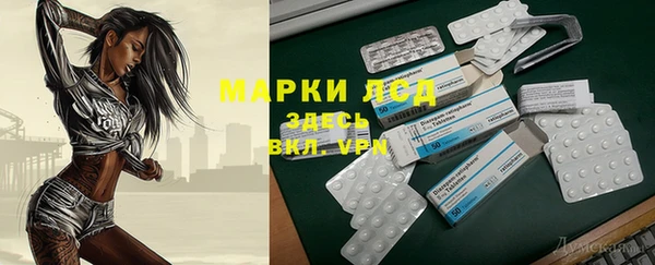 индика Верея